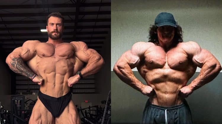 Chris Bumstead a Sulek